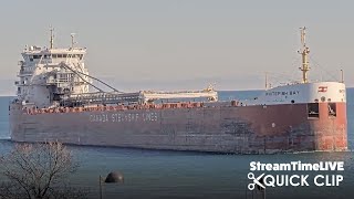 Whitefish Bay Freighter Ship TURNS AROUND in the St Clair River StreamTime LIVE Quick Clip [upl. by Uzia]