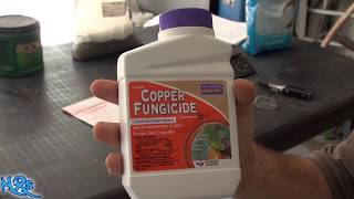 ⟹ Copper fungicide  Bonide  Product overview [upl. by Matty]