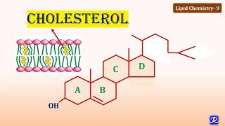 9 Cholesterol Structure amp Functions  Lipid Chemistry9  Biochemistry  NJOY Biochemistry [upl. by Idalina]