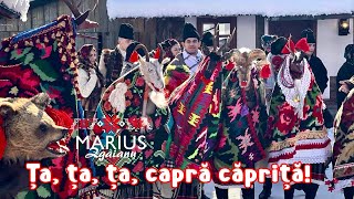 Marius Zgâianu Ța ța ța capră căpriță [upl. by Kristi]