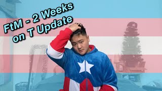 FtM  2 Weeks on T Update [upl. by Kalvin]