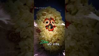 Alo Mitani Khetra Mani Mate Karichi Guni ll New Odia Jagannath Bhajan 4k fullscreen status🙏🏼shorts [upl. by Adlare]