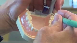 PDT Paradise Dental Technologies Company Video Presentation [upl. by Olav]