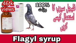 How to use flagyl syrup for pigeonsMajid pigeon care [upl. by Pleione]