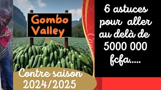 Gombo de contresaison  6 conditions incontournables pour glaner des millions [upl. by Schnorr845]