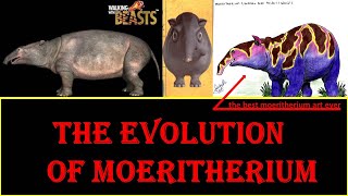 the evolution of Moeritherium [upl. by Hcirteid]