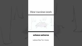 How vaccine works  funnyshorts biology 1million viralshorts [upl. by Koran]