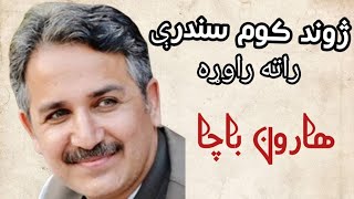 Haroon Bacha New Song  Zhwnd kawm sandry rata  هارون باچا نوې سندره  ژوند کوم سندرې راته راوړه [upl. by Dahc]