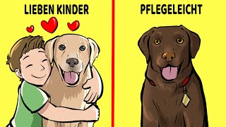 Die 10 Besten Hunderassen Für Kinder Und Familien [upl. by Notnyw]