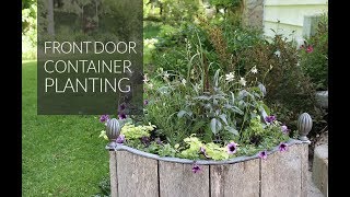 Planting the large front door container [upl. by Boggers823]