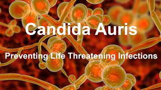 Preventing the Spread of Candida Auris  A Fungus that Can Cause Deadly Infections in Hospitals [upl. by Nevaed]