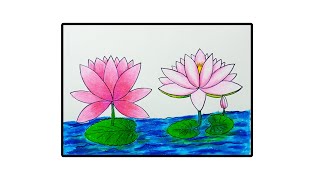 Water Lily Drawing  Easy water lily drawing  Shaplaful drawing  শাপলা ফুলের ছবি আকাঁ [upl. by Enitsugua]