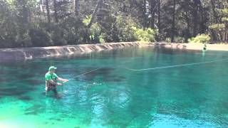 Gerard Downey practicing a snake roll spey cast at the 2015 Speyorama [upl. by Player]