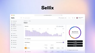 Sellix Pay 20  Noncustodial Wallet [upl. by Salena]