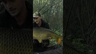 Trailer dun 24h en gravière sauvage  Pêche de la carpe carpestyle fishing carpfishing 2024 [upl. by Nuri]