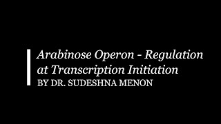 Arabinose Operon Regulation at Transcription Initiation [upl. by Arundel]