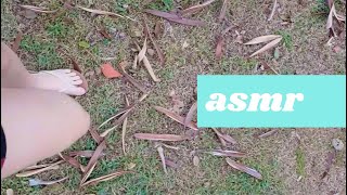 asmr andando grama folhas calçada  walking grass leaves sidewalk [upl. by Anier]