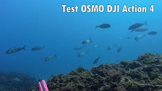 Test subacqueo DJI Osmo 4 Action e qualche pesce [upl. by Raul]