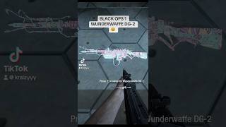 WUNDERWAFFE DG2 ON BLACK OPS 1 [upl. by Brandt]