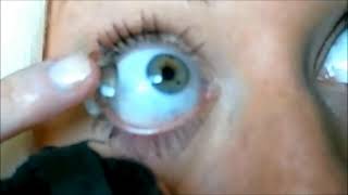 How to put in CONTACTS [upl. by Ettenan]