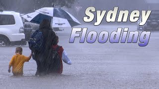 Sydney Flood Emergency  Northern Beaches Flooding  March 2022 [upl. by Figone]