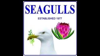 Seagulls vs Harlequins forces  07092024 [upl. by Giddings]