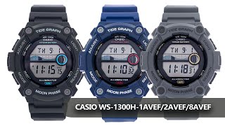 Zegarki męskie CASIO WS1300H1AVEF2AVEF8AVEF [upl. by Emmanuel63]