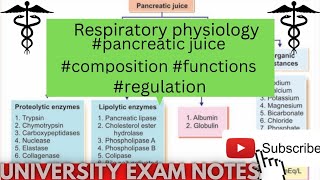 pancreatic juice compositionfunctionsregulationmedicoscontent3135 [upl. by Leisam63]