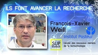 Institut Pasteur  S02E02  Les salmonelles  FrançoisXavier Weill [upl. by Fenner27]