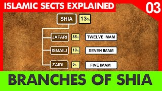 Branches of Shia Islam  Zaidi  Ismaili  Jafari Twelver  Episode 3  Islam sects explained NSH [upl. by Judsen728]