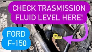 HOW TO CHECK THE TRANSMISSION FLUID LEVEL AND ADD MORE FLUID FORD F150 [upl. by Analat277]