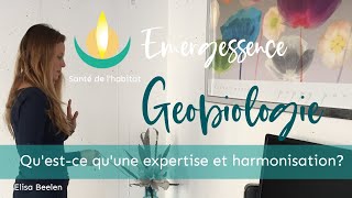 Géobiologie  Quest ce que la géobiologie par Elisa Beelen [upl. by Arocat]