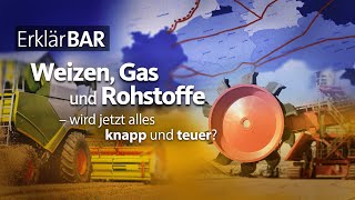 ErklärBAR Weizen Gas und Rohstoffe  wird jetzt alles knapp und teuer [upl. by Varini]