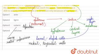 transport proteins of endodermal cells are control point where a plant adjusts the quantity [upl. by Josee]