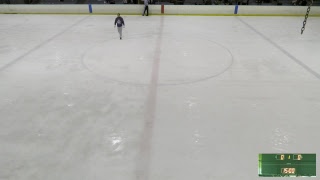 Broomball Australia National Championships 2018  FINALS [upl. by Thorstein147]