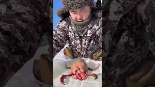 permafrost winter outdoorcooking cooking bushcooking bushcraft 🥶❄️🌨️☃️🍗🥩🦆 [upl. by Alhahs]