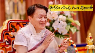 Rinpoches Golden Advice From  Dungse Garab Rinpoche In Perth Australia  Buddhism  Buddhist [upl. by Rehportsirhc]