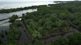 Drone Aerial video of the famous Nan Madol in the island garden of Pohnpei Ponape State FSM [upl. by Yrrep]