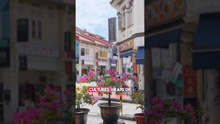 Is Geylang the real Singapore [upl. by Eceertal]