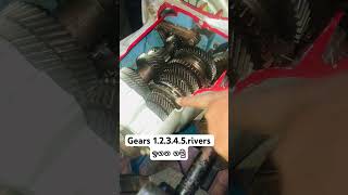 Gear 12345rivers ඉගන ගමු viralvideo automobile trending foryou srilanka automobile how [upl. by Koy]