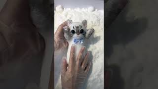 cats sticky toy cast in foam shortsvideo [upl. by Mireille]