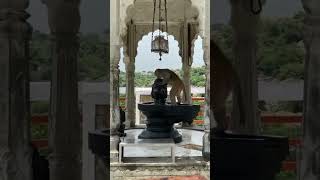 ganga dharay shiv ganga dharay love hindudeity song hindumusic hindugoddess bhajans [upl. by Fisk]