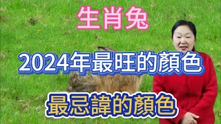 生肖兔！2024年最旺的顏色！屬兔人最忌諱的顏色！用對顏色就能招來好運！一整年都好運連連！平安吉祥！財源滾滾！ [upl. by Yorel]