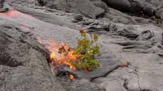 Kilauea Lava Flow March 30 2010 [upl. by Eekcaj280]