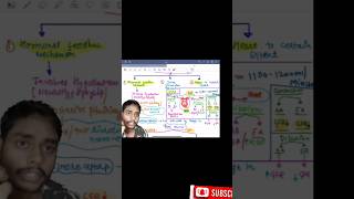 GFR vs Renal blood flowshorts [upl. by Sapers]