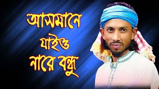 আসমানে যাইওনা বন্ধু ধরতে পারবে না  asmane jaio na bondhu  শিমুল হাসান  shimul hasan new song [upl. by Erma928]