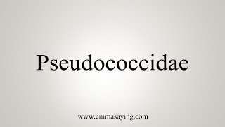 How To Say Pseudococcidae [upl. by Euqina]