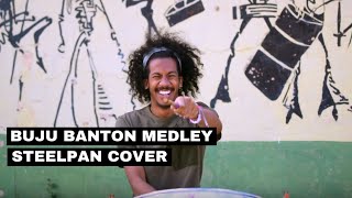 Buju Banton Medley Hills and Valleys Wanna Be Loved amp Destiny  Joshua Regrello Steel Pan Cover [upl. by Gamages90]