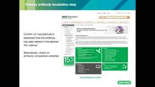 Mastering Immunohistochemistry Staining Experiments [upl. by Noit]