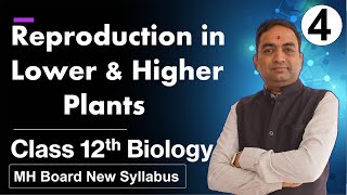 Reproduction in Lower and Higher Plants Class 12th Biology Part 4 [upl. by Kcoj]